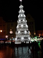 STUDYJNA WIZYTA WE WROCŁAWIU